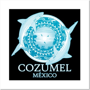 Caribbean Reef Sharks Cozumel Mexico Posters and Art